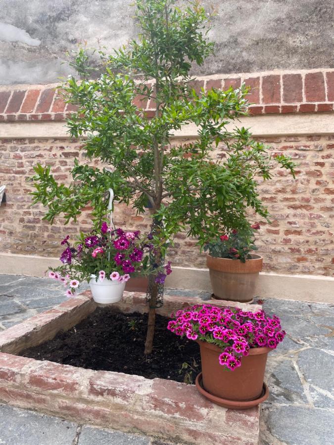 Residenza Nikol Appartamento Giulia Casale Monferrato Exteriér fotografie